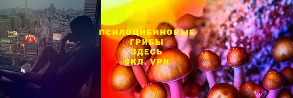 сатива Рославль