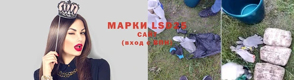 ПСИЛОЦИБИНОВЫЕ ГРИБЫ Баксан