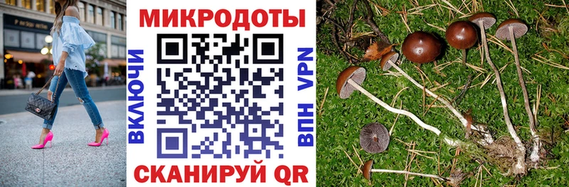 цена наркотик  Крымск  Галлюциногенные грибы Psilocybine cubensis 