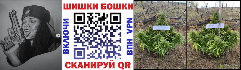 Шишки марихуана планчик  мега ONION  Крымск 